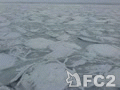 動画:2012網走沖 流氷